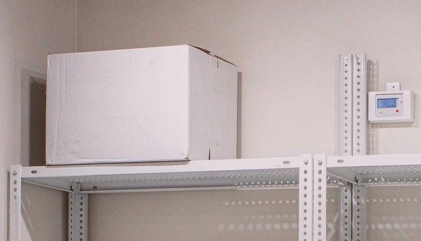 Middle East Flavor Liquids Trade: Lead Times for Duty-Free Operators — Middle East Intense Flavor Liquids Bulk